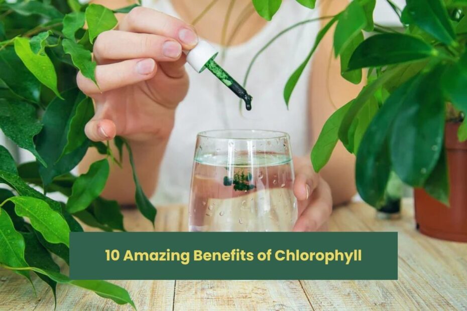 10 Amazing Benefits of Chlorophyll