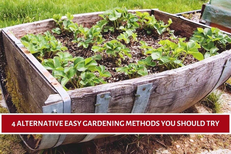 4 Alternative Easy Gardening Methods You Should Try