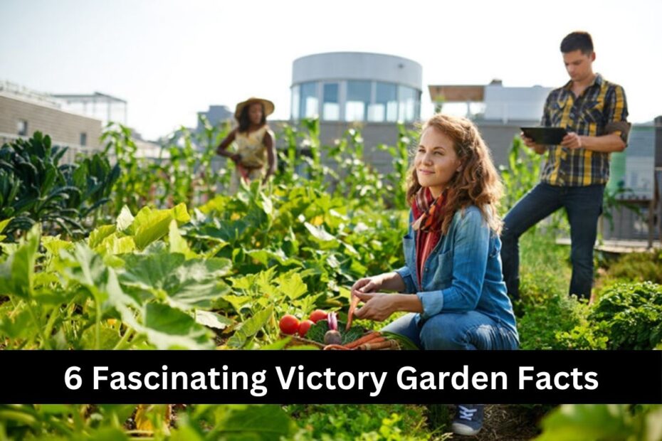 6 Fascinating Victory Garden Facts