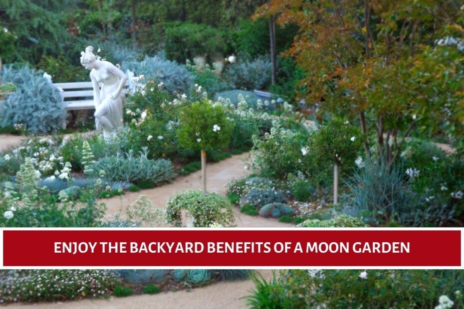 Enjoy the Backyard Benefits of a Moon Garden