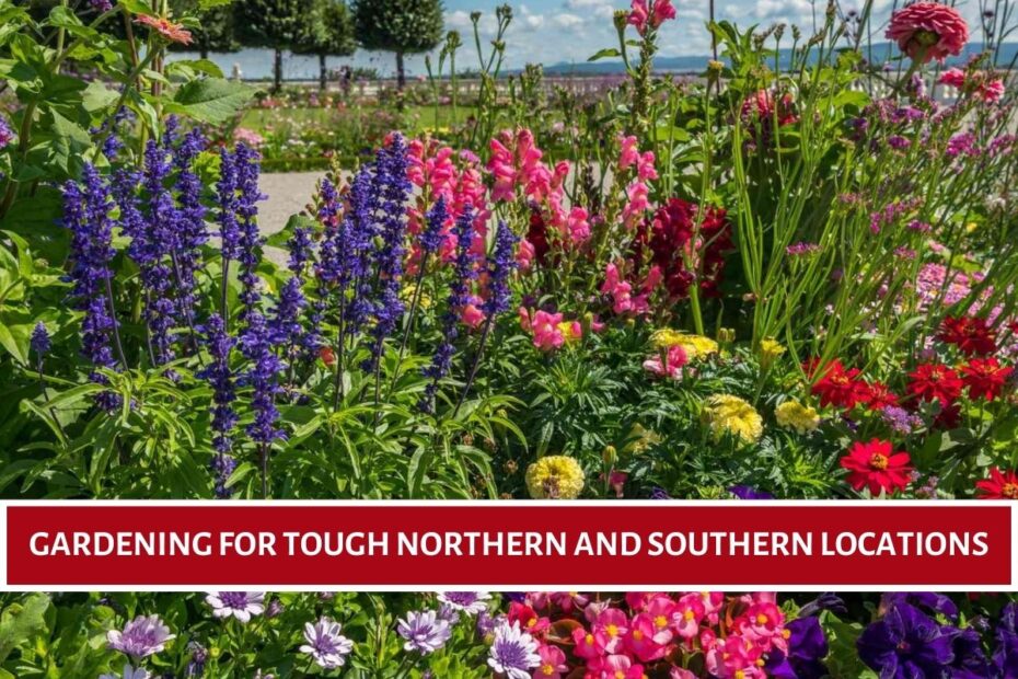 Gardening for Tough Northern and Southern Locations