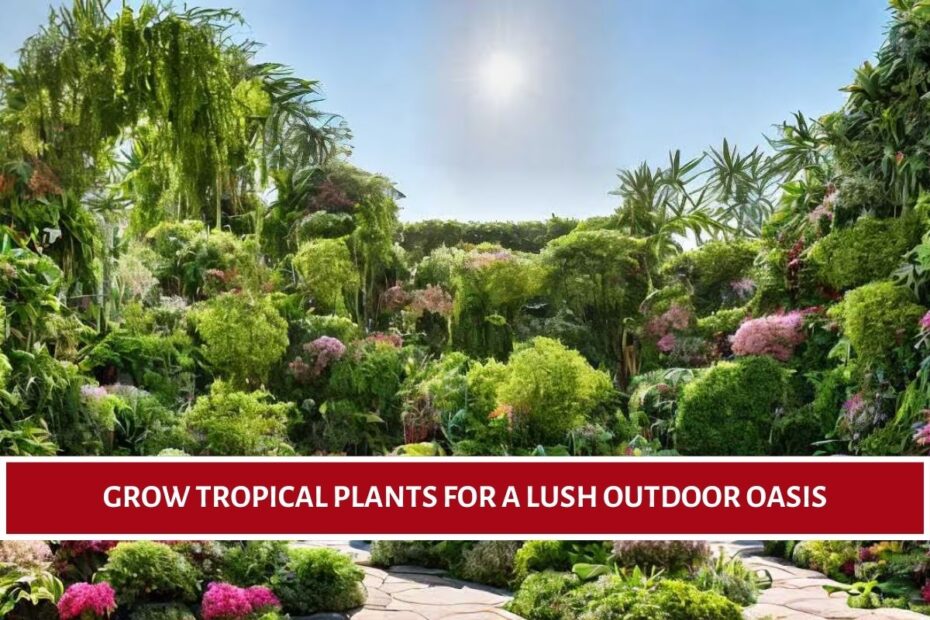 Grow Tropical Plants for a Lush Outdoor Oasis