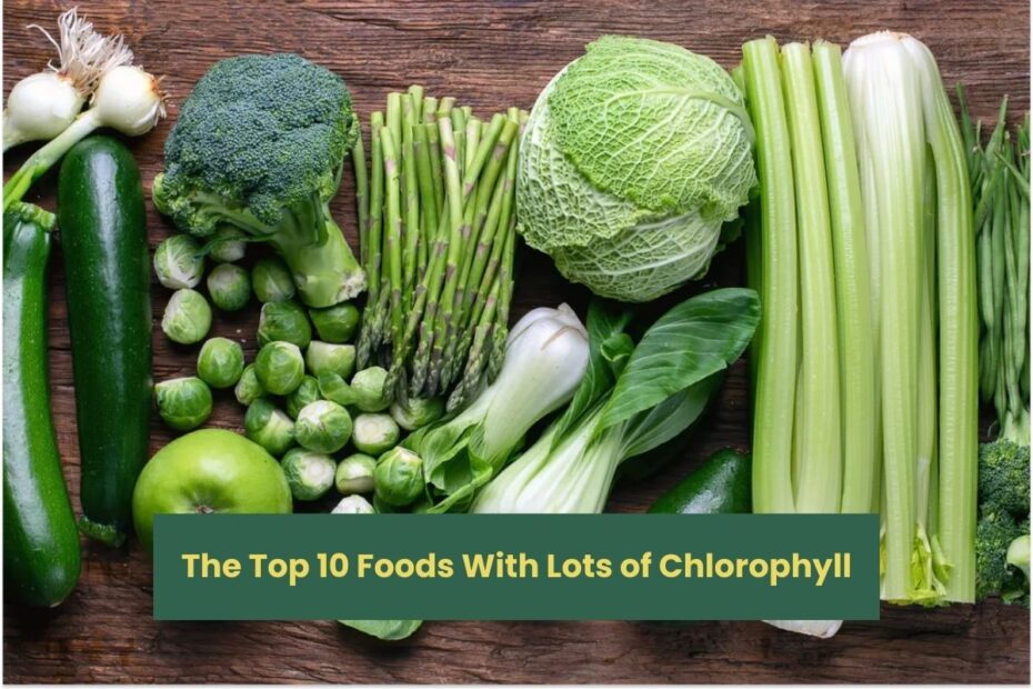 The Top 10 Foods With Lots of Chlorophyll