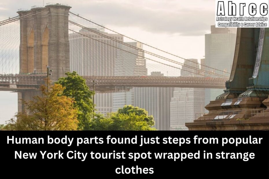 Human body parts found just steps from popular New York City tourist spot wrapped in strange clothes