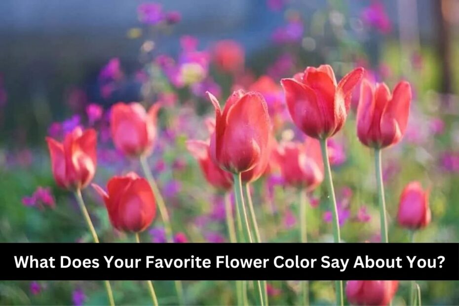 What Does Your Favorite Flower Color Say About You?