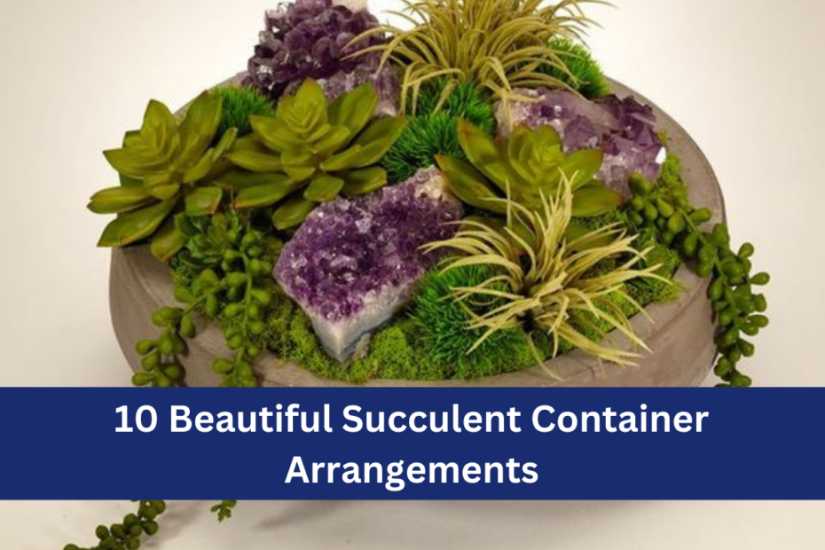 10 Beautiful Succulent Container Arrangements