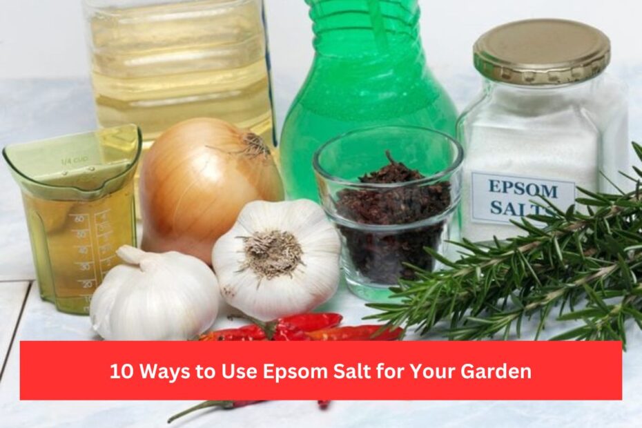 10 Ways to Use Epsom Salt for Your Garden