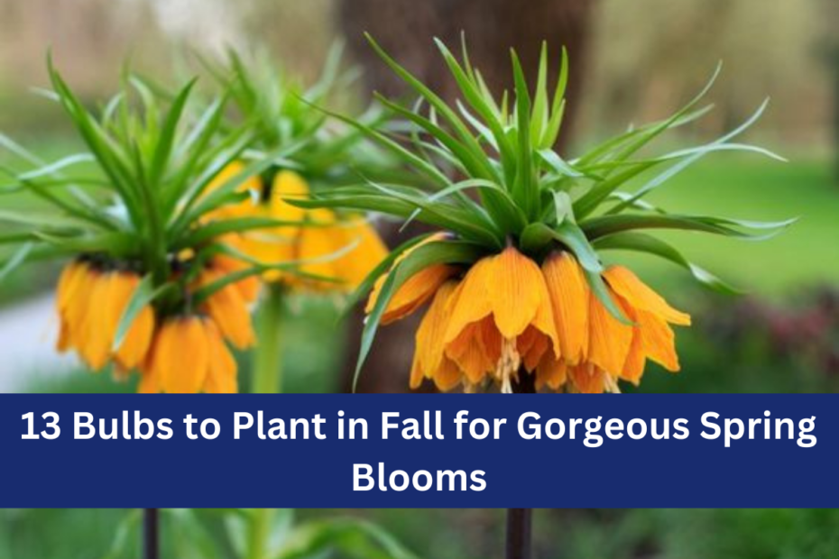 13 Bulbs to Plant in Fall for Gorgeous Spring Blooms