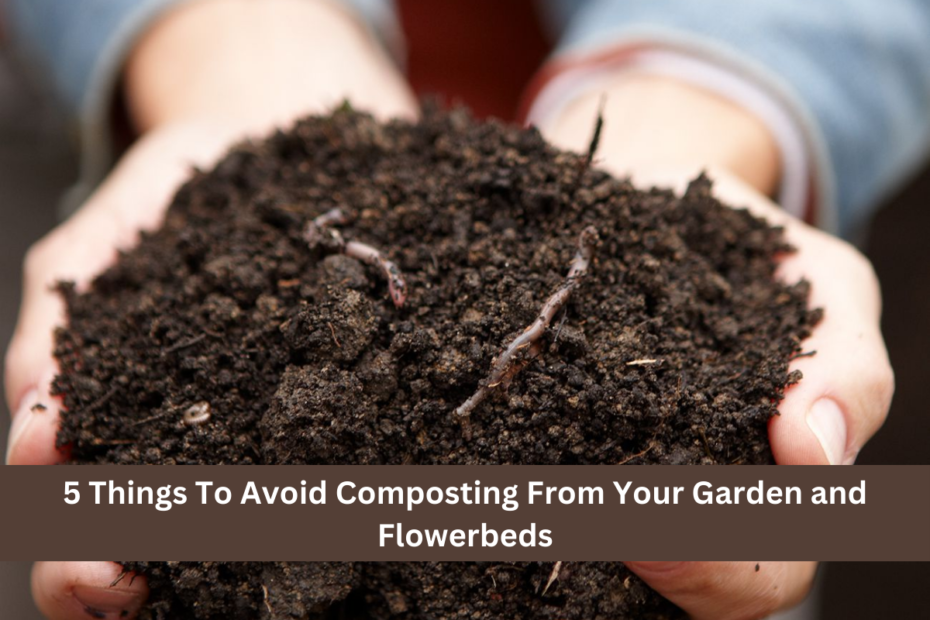 5 Things To Avoid Composting From Your Garden and Flowerbeds