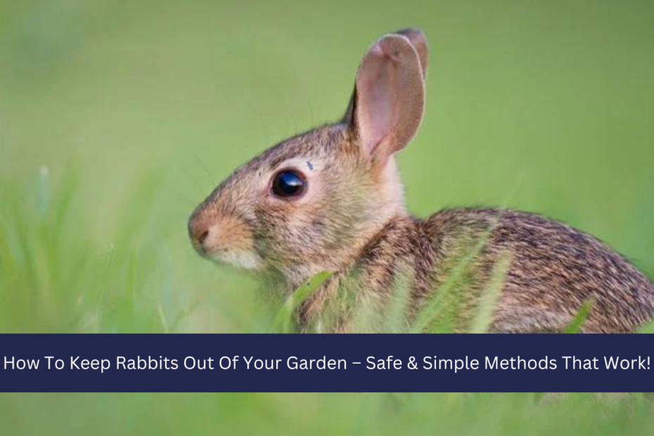 How To Keep Rabbits Out Of Your Garden – Safe & Simple Methods That Work!