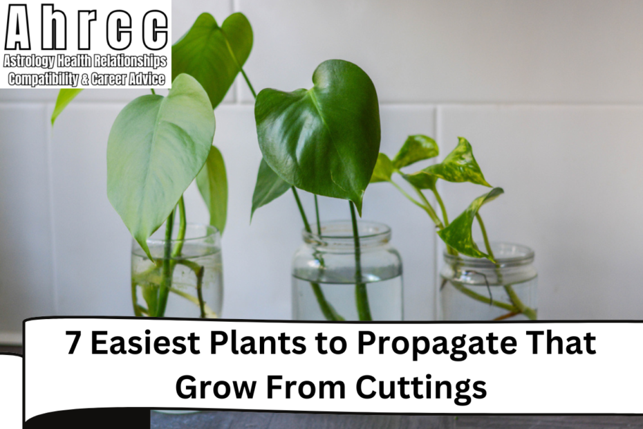 7 Easiest Plants to Propagate That Grow From Cuttings