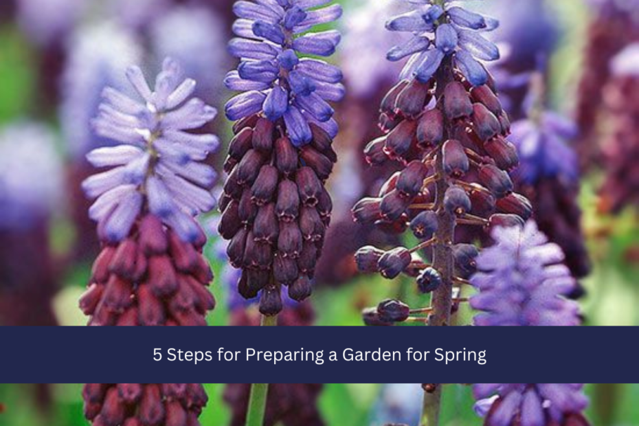 5 Steps for Preparing a Garden for Spring