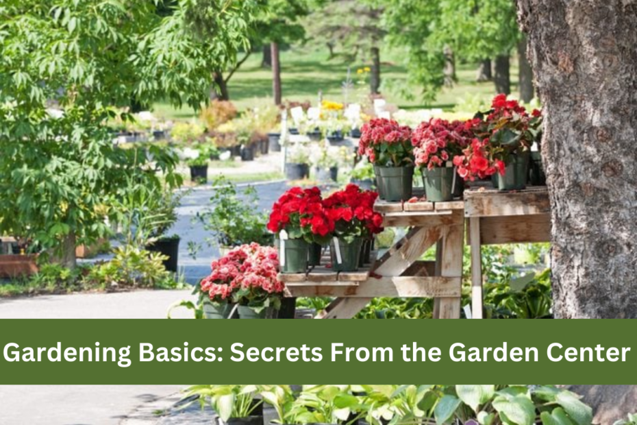 Gardening Basics Secrets From the Garden Center 