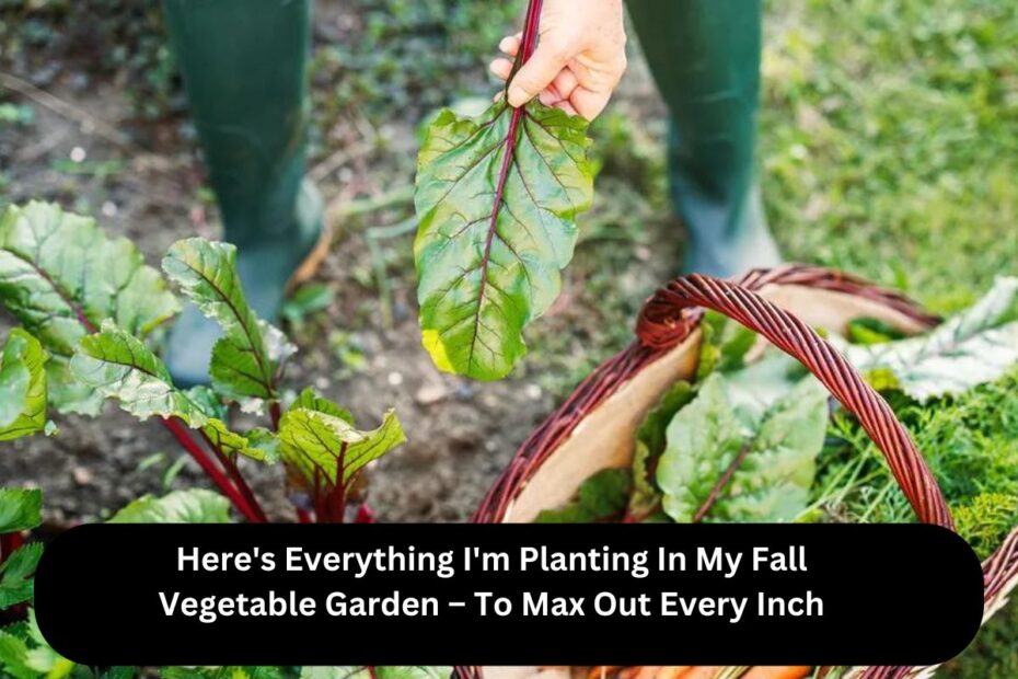 Here's Everything I'm Planting In My Fall Vegetable Garden – To Max Out Every Inch