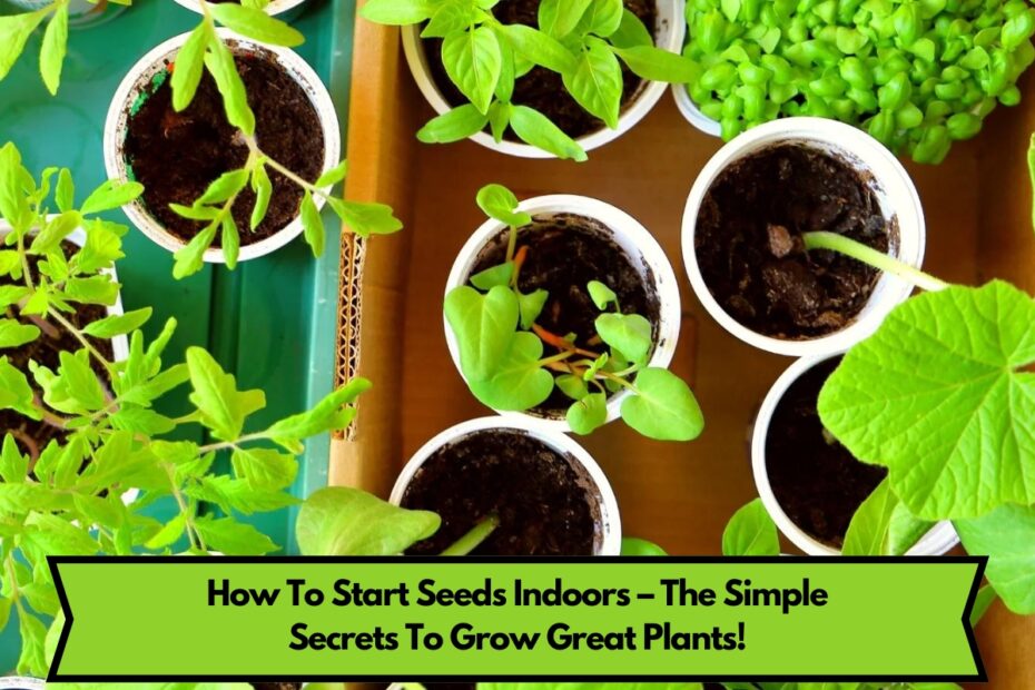 How To Start Seeds Indoors – The Simple Secrets To Grow Great Plants!