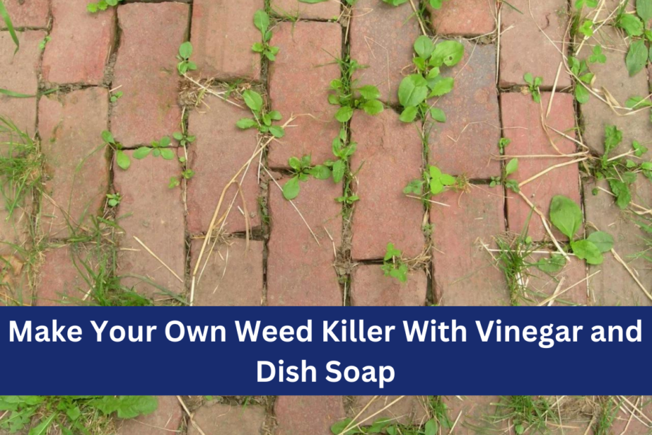 Make Your Own Weed Killer With Vinegar and Dish Soap