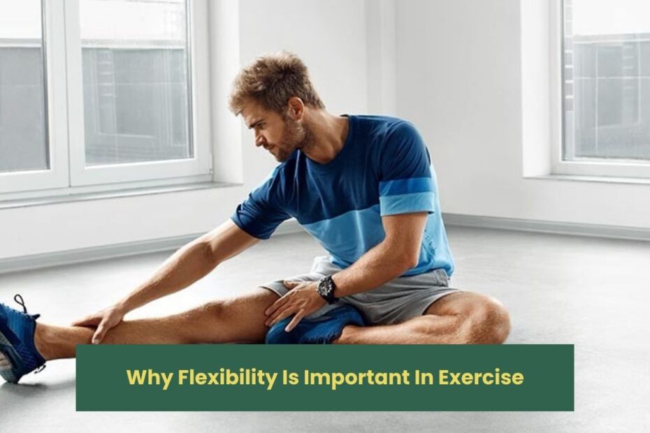 Why Flexibility Is Important In Exercise