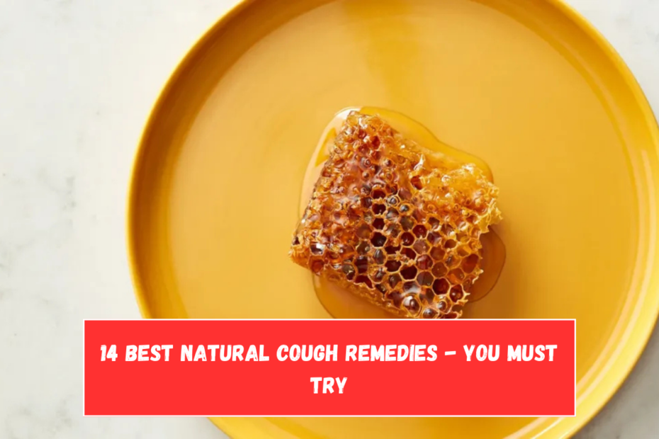 14 Best Natural Cough Remedies - you must try