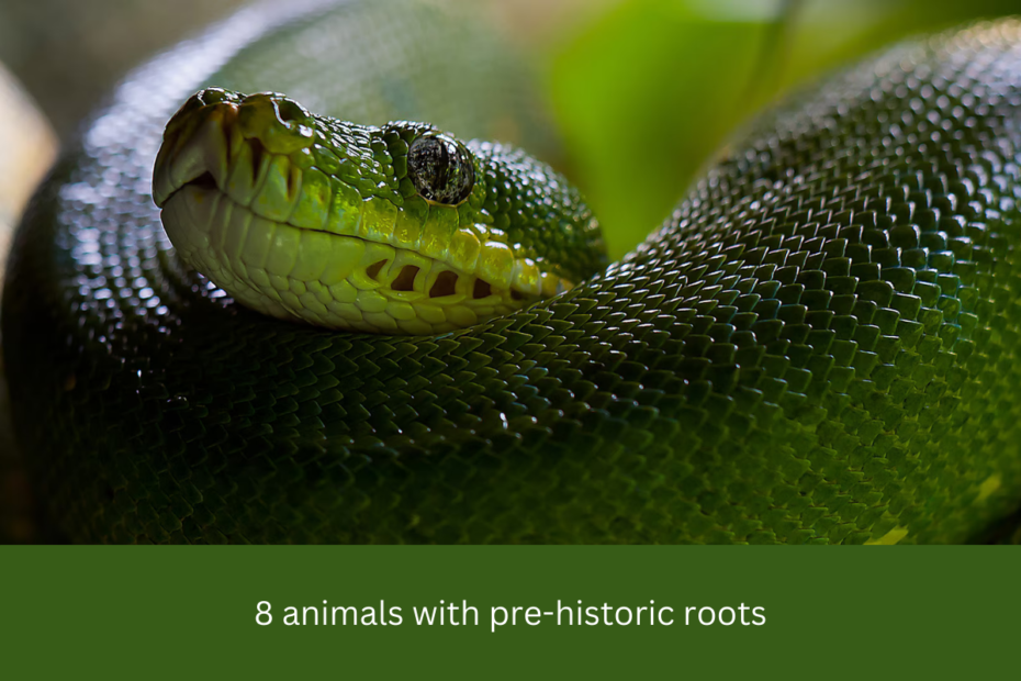 8 animals with pre-historic roots