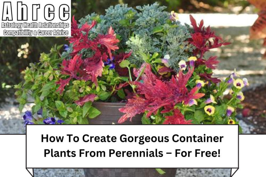 How To Create Gorgeous Container Plants From Perennials – For Free!