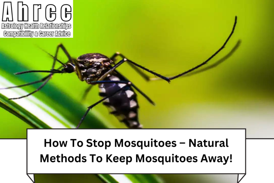 How To Stop Mosquitoes – Natural Methods To Keep Mosquitoes Away!