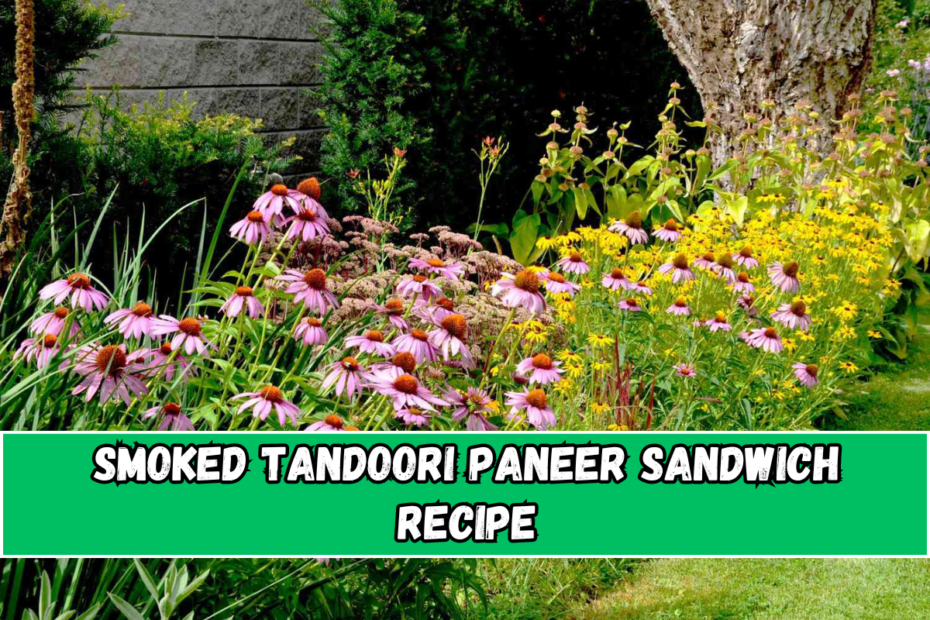 Smoked Tandoori Paneer Sandwich Recipe